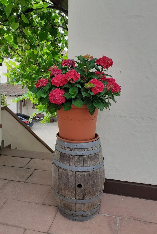 Das Landhotel Weingut Gernert Sankt Martin Exterior foto